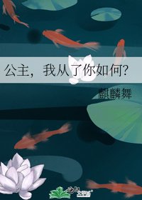 公主,我从了你如何?
